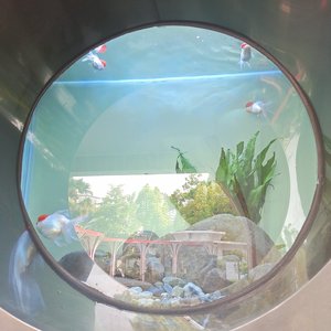 一生的眷恋–阿海