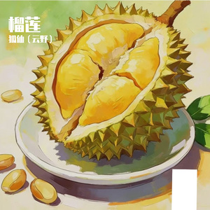 牙医