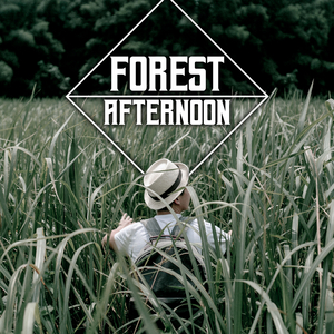 Forest Afternoon