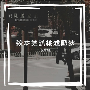 较本羌趴桃滤匦狄