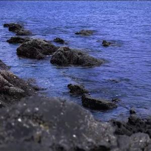 让我做你的眼睛