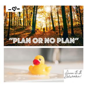 Plan Or No Plan (English Version) (English Version)
