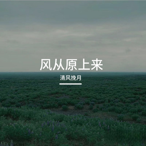 风从原上来