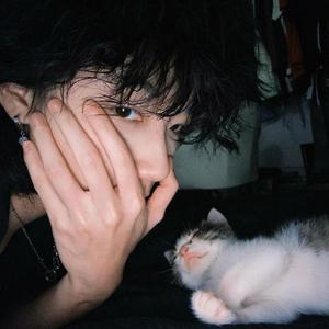 爆了（抖音热播）