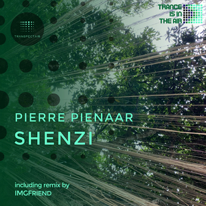 Shenzi (Original Mix)