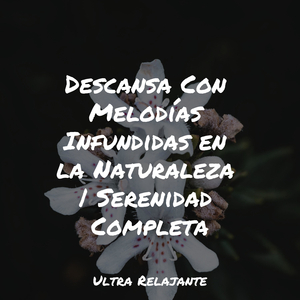 Templos en Crepúsculo