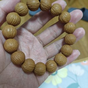 绿洲