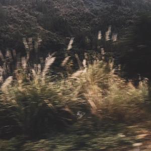 Forever（翻自 XXXTENTACION）