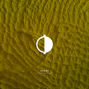 Sloss (Original Mix)