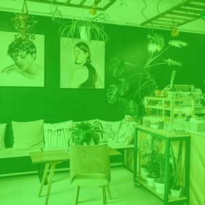 温和朋友们梦想