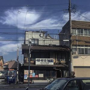 亲爱的你 去了何方(翻自 陈硕子)