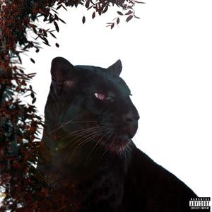 Other People/ Black Panther (feat. Dez)