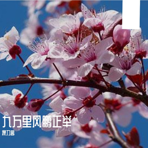 关于郑州的记忆demo