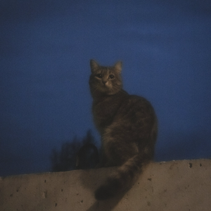 Неуклюжий