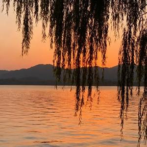 夜色流转 (烟嗓版)