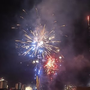 辰雨凤鸣