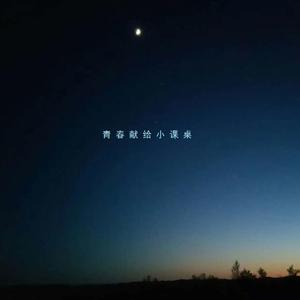 青春献给小课桌