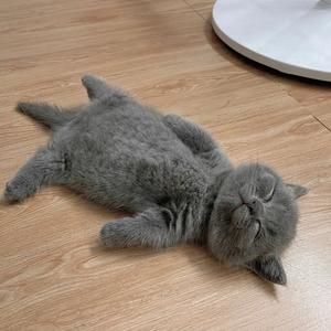 起风了（抖音完整版）伴奏