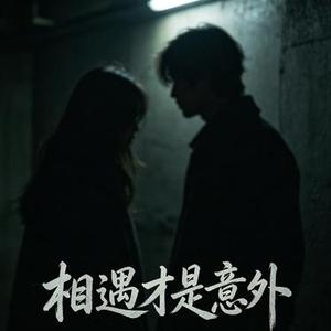 相遇才是意外 (降调版)