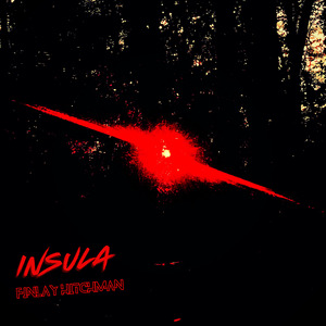 Insula