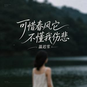 可惜春风它不懂我伤悲