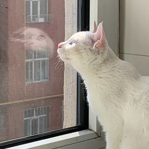 LALILU (prod by Puff)