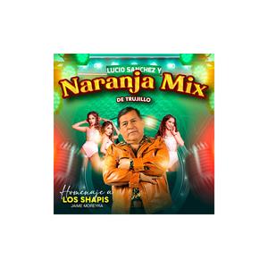 Mix Shapimania