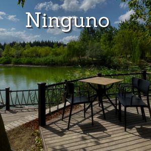 Ninguno