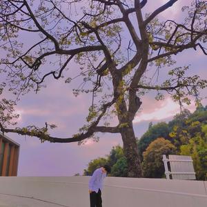 糖(prod by WayMen