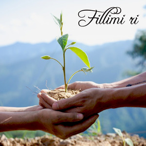 Fillimi ri