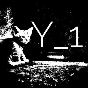 Y_1