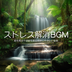 瞑想セッション 音楽