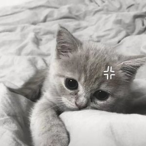 恨来恨去只为那点爱