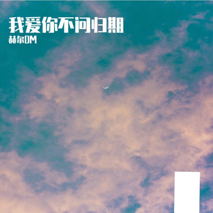 我爱你不问归期
