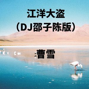 江洋大盗 (DJ邵子陈版)