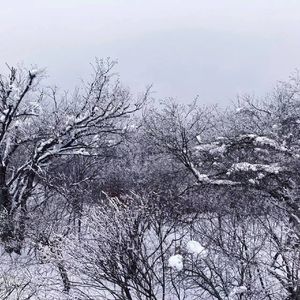 WHITE SNOW(prod by Lv9）