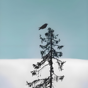 贺新郎·乳燕飞华屋 （新编）.wav