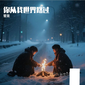 你从我世界路过