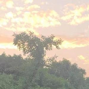 晚点航线