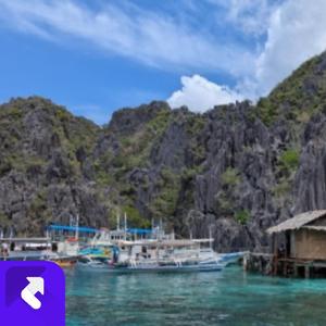 杏花豪迈 (现场)