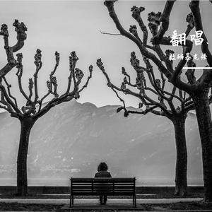 我在昨天的梦里又看见了你