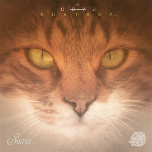 Ecstasy (Late at Night Mix)