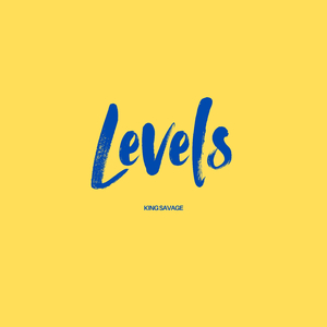 LEVELS