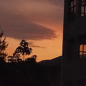 我希望，我想念，我亲爱的