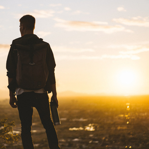 Queen of the Phoenix