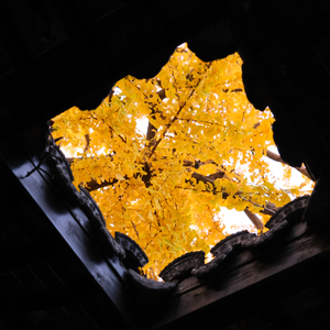 一片，一片