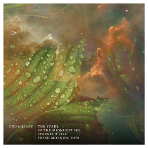 The stars, in the midnight sky, sparkled like fresh morning dew