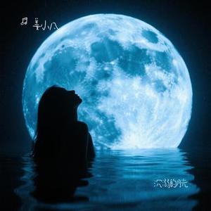 沉溺的月光