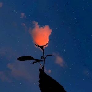 你就不要想起我