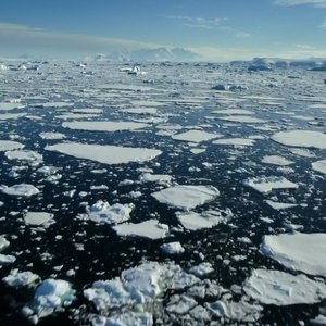 Iced Heart (Explicit)